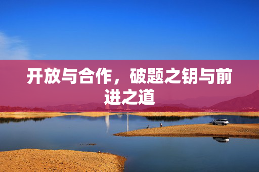 开放与合作，破题之钥与前进之道