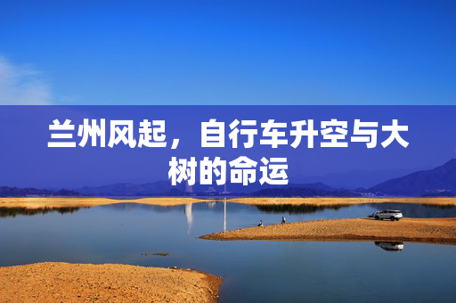 兰州风起，自行车升空与大树的命运