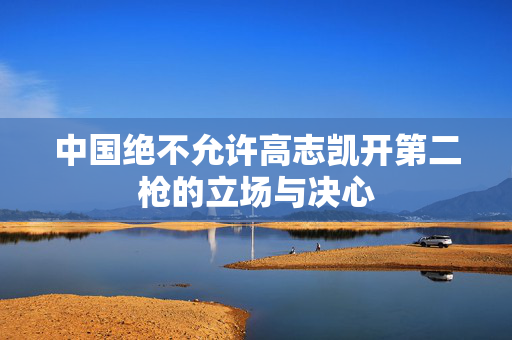 中国绝不允许高志凯开第二枪的立场与决心