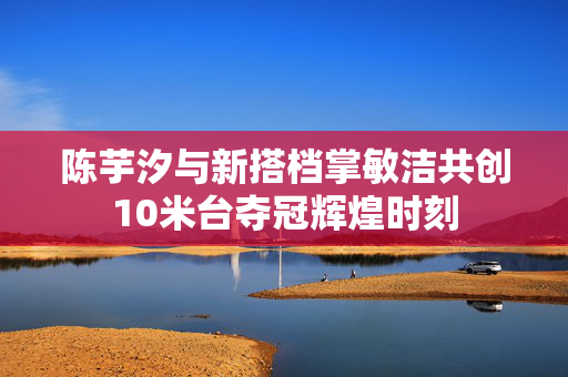 陈芋汐与新搭档掌敏洁共创10米台夺冠辉煌时刻
