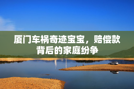 厦门车祸奇迹宝宝，赔偿款背后的家庭纷争