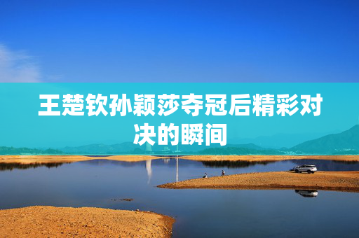 王楚钦孙颖莎夺冠后精彩对决的瞬间