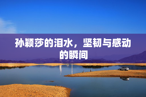 孙颖莎的泪水，坚韧与感动的瞬间