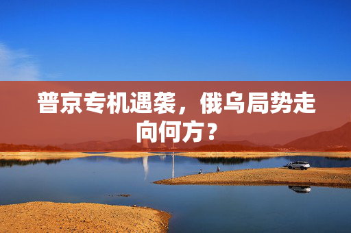 普京专机遇袭，俄乌局势走向何方？