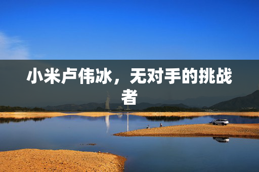小米卢伟冰，无对手的挑战者