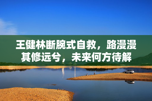 王健林断腕式自救，路漫漫其修远兮，未来何方待解