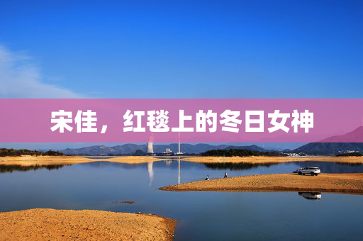 宋佳，红毯上的冬日女神