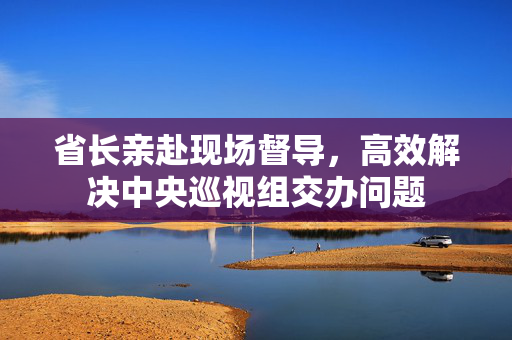 省长亲赴现场督导，高效解决中央巡视组交办问题