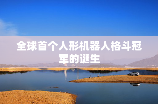 全球首个人形机器人格斗冠军的诞生
