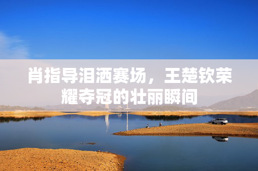 肖指导泪洒赛场，王楚钦荣耀夺冠的壮丽瞬间
