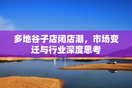 多地谷子店闭店潮，市场变迁与行业深度思考