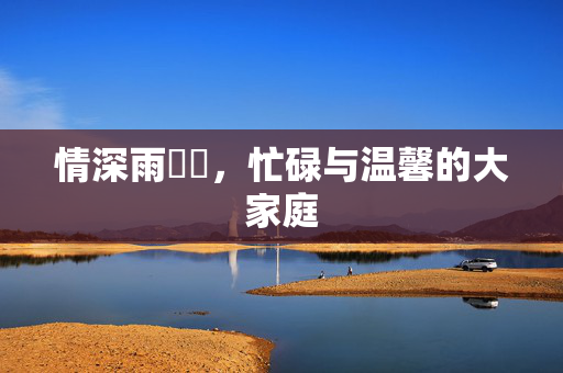 情深雨濛濛，忙碌与温馨的大家庭