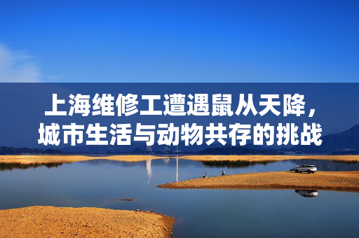 上海维修工遭遇鼠从天降，城市生活与动物共存的挑战