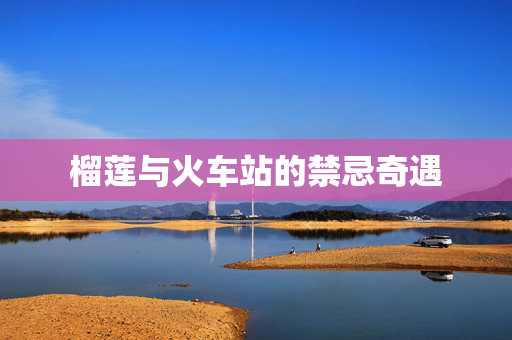 榴莲与火车站的禁忌奇遇