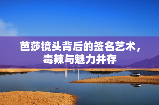 芭莎镜头背后的签名艺术，毒辣与魅力并存