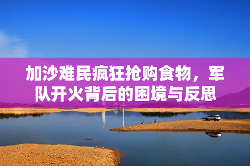加沙难民疯狂抢购食物，军队开火背后的困境与反思