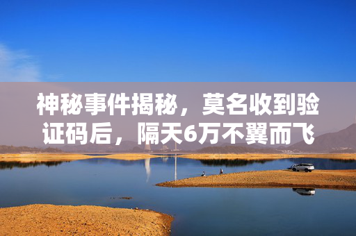 神秘事件揭秘，莫名收到验证码后，隔天6万不翼而飞