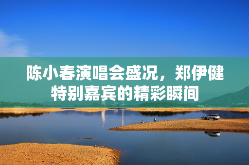 陈小春演唱会盛况，郑伊健特别嘉宾的精彩瞬间