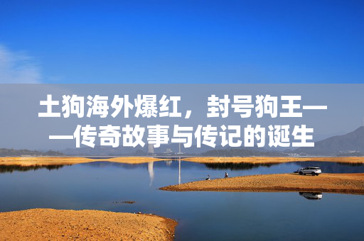 土狗海外爆红，封号狗王——传奇故事与传记的诞生