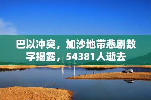 巴以冲突，加沙地带悲剧数字揭露，54381人逝去