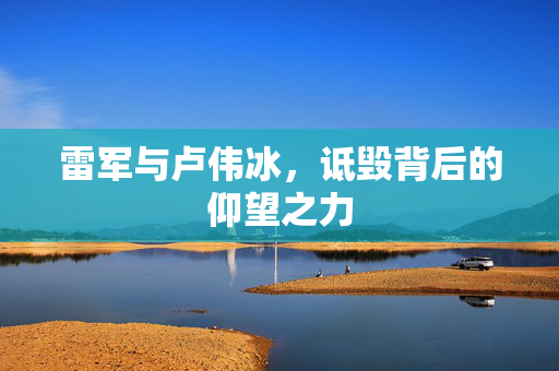 雷军与卢伟冰，诋毁背后的仰望之力
