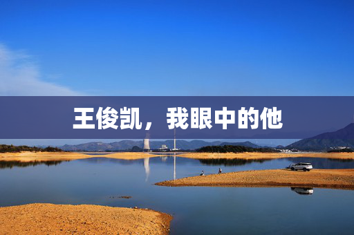王俊凯，我眼中的他