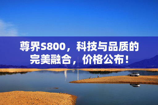 尊界S800，科技与品质的完美融合，价格公布！