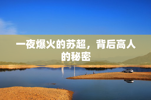 一夜爆火的苏超，背后高人的秘密