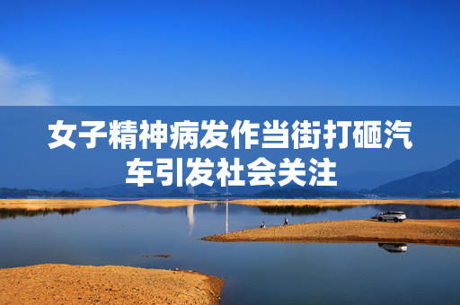 女子精神病发作当街打砸汽车引发社会关注