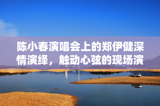陈小春演唱会上的郑伊健深情演绎，触动心弦的现场演绎
