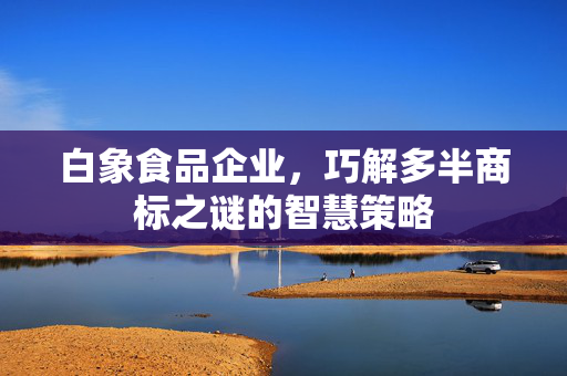 白象食品企业，巧解多半商标之谜的智慧策略