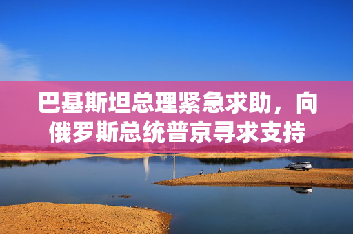 巴基斯坦总理紧急求助，向俄罗斯总统普京寻求支持