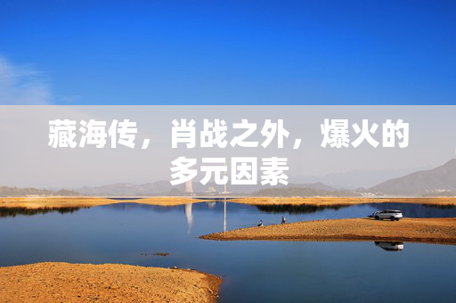 藏海传，肖战之外，爆火的多元因素