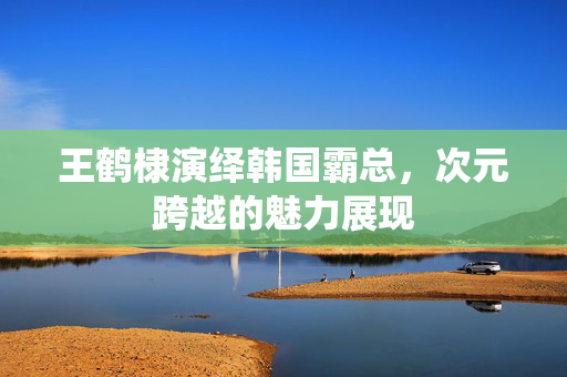 王鹤棣演绎韩国霸总，次元跨越的魅力展现