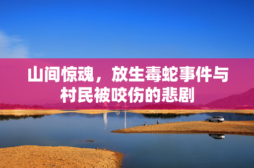 山间惊魂，放生毒蛇事件与村民被咬伤的悲剧