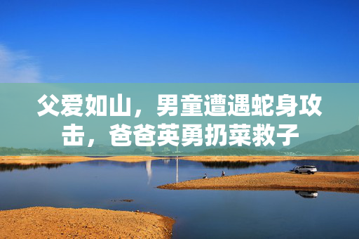 父爱如山，男童遭遇蛇身攻击，爸爸英勇扔菜救子