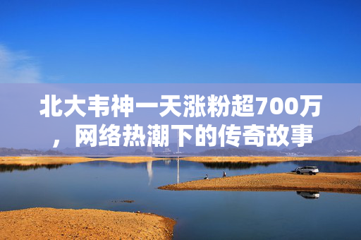 北大韦神一天涨粉超700万，网络热潮下的传奇故事