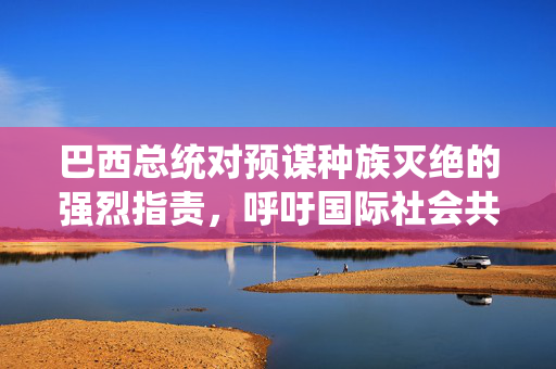 巴西总统对预谋种族灭绝的强烈指责，呼吁国际社会共同关注与行动