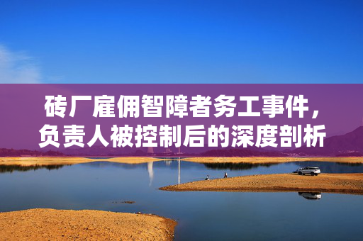 砖厂雇佣智障者务工事件，负责人被控制后的深度剖析