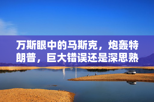 万斯眼中的马斯克，炮轰特朗普，巨大错误还是深思熟虑的决策？