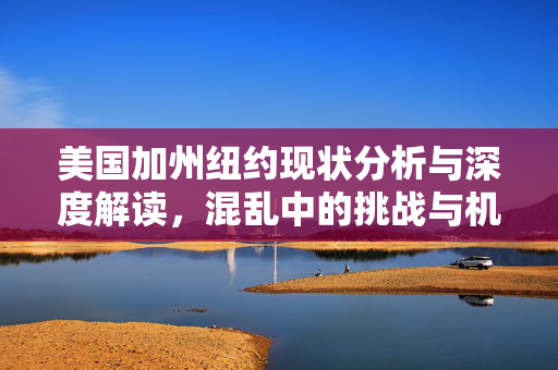 美国加州纽约现状分析与深度解读，混乱中的挑战与机遇