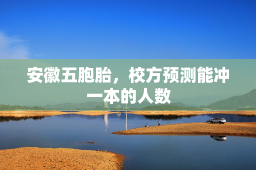 安徽五胞胎，校方预测能冲一本的人数