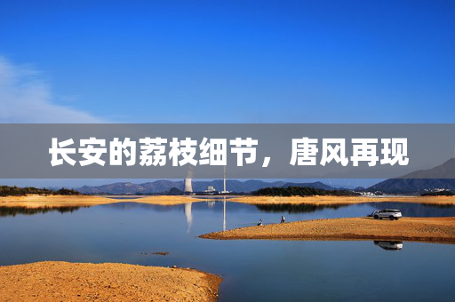长安的荔枝细节，唐风再现