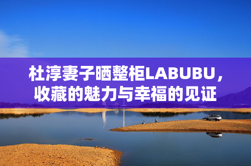 杜淳妻子晒整柜LABUBU，收藏的魅力与幸福的见证