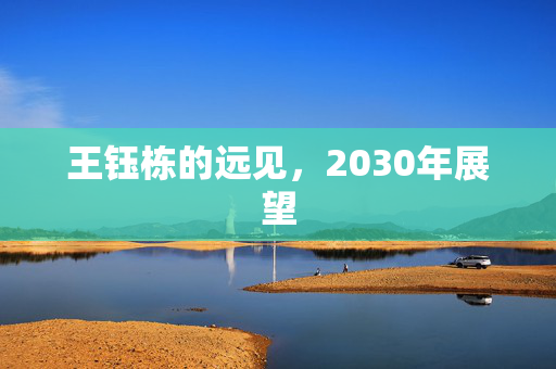 王钰栋的远见，2030年展望
