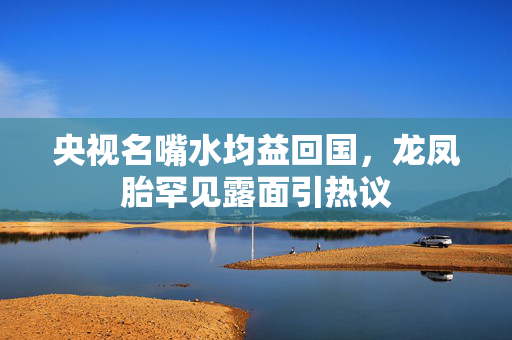 央视名嘴水均益回国，龙凤胎罕见露面引热议