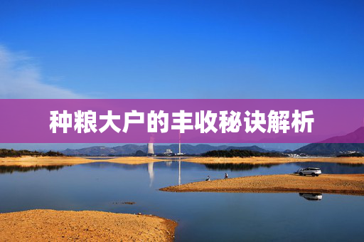 种粮大户的丰收秘诀解析