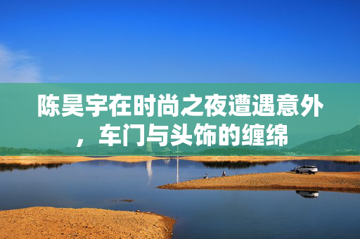 陈昊宇在时尚之夜遭遇意外，车门与头饰的缠绵