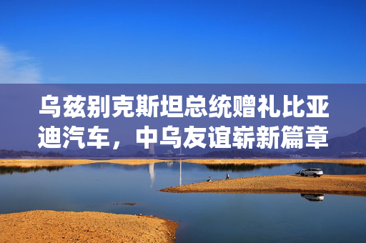 乌兹别克斯坦总统赠礼比亚迪汽车，中乌友谊崭新篇章的开启