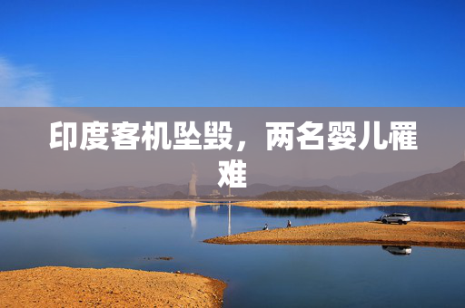 印度客机坠毁，两名婴儿罹难